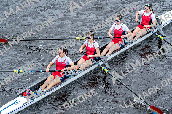 BUCS-HEAD-BRIDGE-DIV2-06503