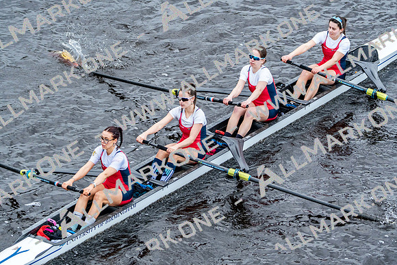 BUCS-HEAD-BRIDGE-DIV2-06501