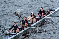 BUCS-HEAD-BRIDGE-DIV2-06809