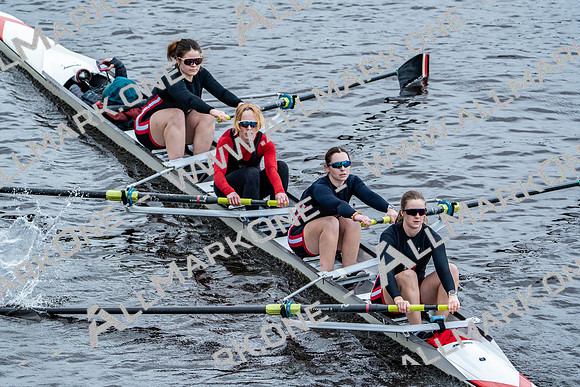 BUCS-HEAD-BRIDGE-DIV2-07028