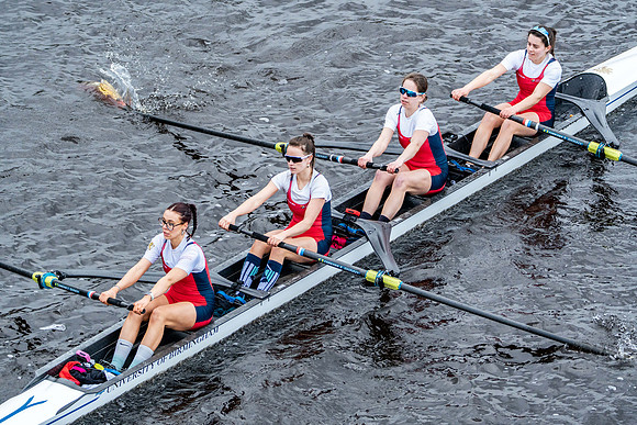 BUCS-HEAD-BRIDGE-DIV2-06501