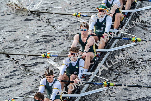 BUCS-HEAD-BRIDGE-DIV2-04231