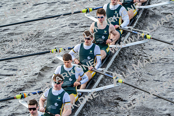 BUCS-HEAD-BRIDGE-DIV2-04235