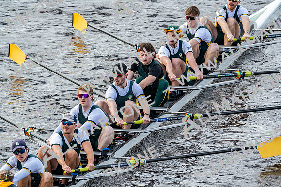 BUCS-HEAD-BRIDGE-DIV2-04484