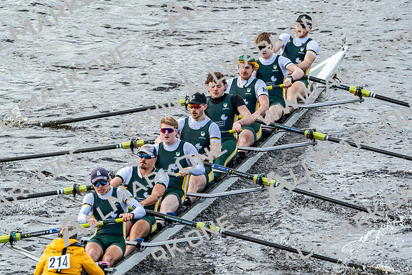 BUCS-HEAD-BRIDGE-DIV2-04494