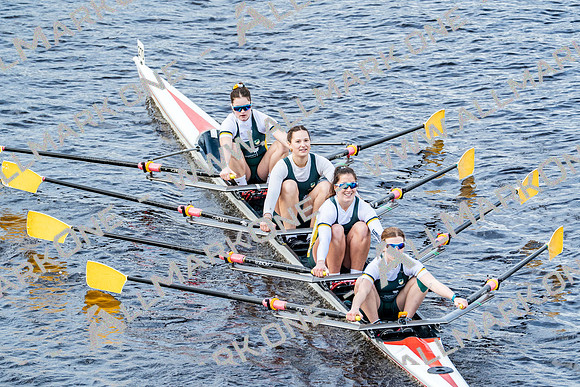 BUCS-HEAD-BRIDGE-DIV2-05825