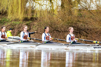 YorkHead-Div1-00045