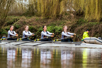 YorkHead-Div1-00046