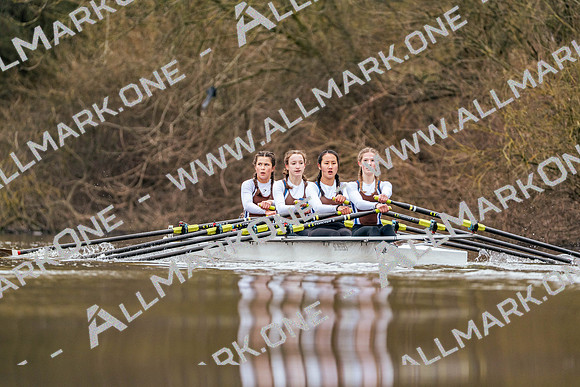 YorkHead-Div1-00065