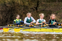 YorkHead-Div1-00142