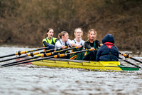 YorkHead-Div1-00157