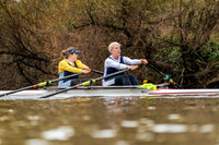 YorkHead-Div1-01503
