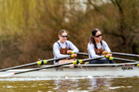 YorkHead-Div1-01438