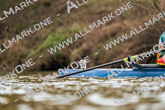 YorkHead-Div1-01799