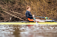 YorkHead-Div1-02015