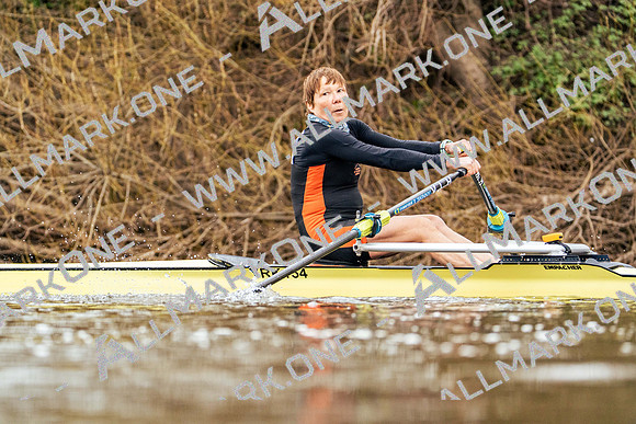 YorkHead-Div1-02013