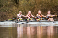 YorkshireHead-Div2-02245