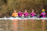 YorkshireHead-Div2-02332
