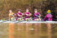 YorkshireHead-Div2-02329