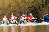 YorkshireHead-Div2-02447