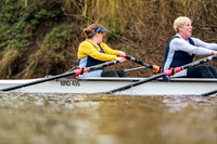 YorkshireHead-Div2-04034