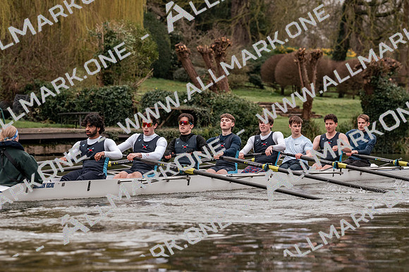 CLB00517