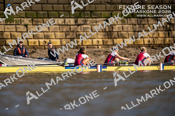 AllMarkOne | Watermarked (Free Download) | BR600135