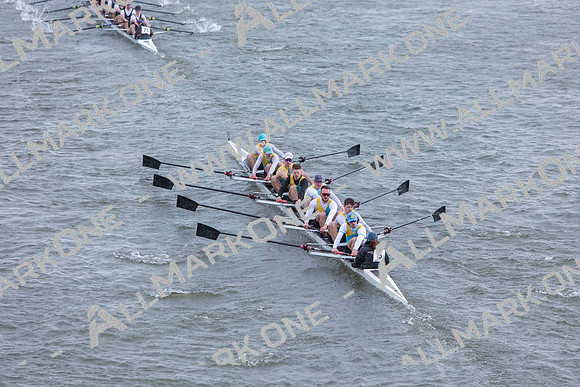 HORR9517