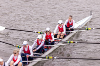 VH266531