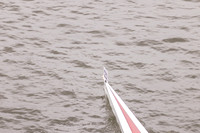 VH269144