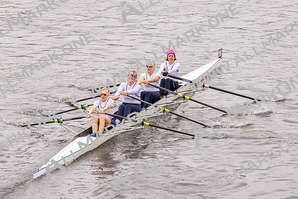 VH260339