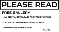 00-Free Gallery rules