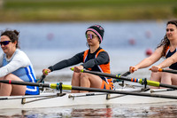 W Nov 4x+