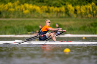 9WL_3038