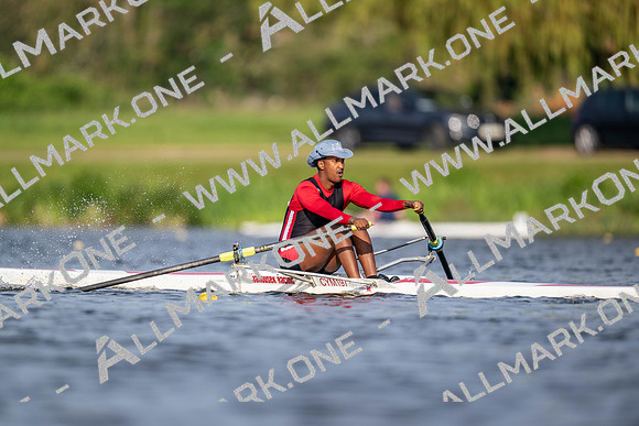 Bucs TT o int 1x-260