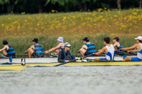 WA203716