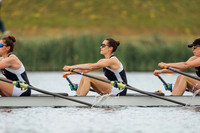 WA204036