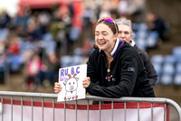9WL_9952