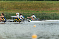 Final
