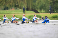 9WL_1184