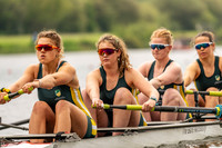 Sun BUCS SEMI-432