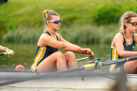 Sun BUCS-3330