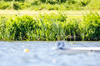 Race 96 - W divB 4x- (15.42, P)