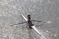 SHRM3983