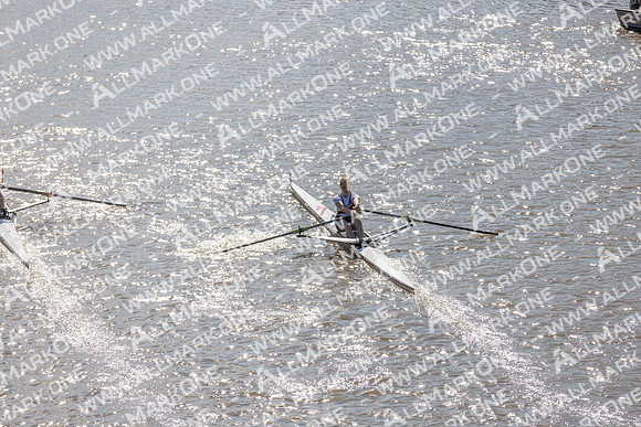 SHRM3990