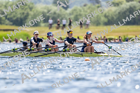 quads tt-3929
