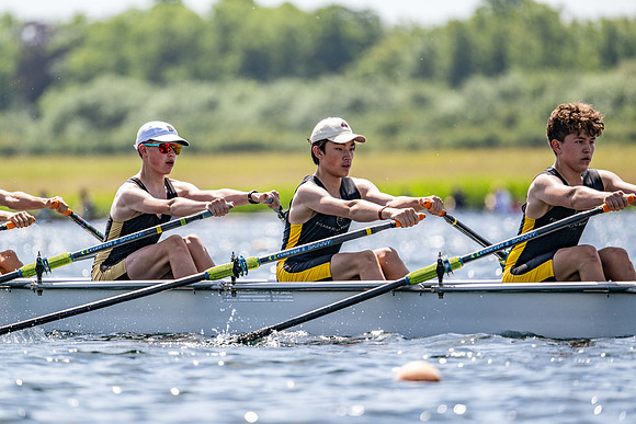 quads tt-2784