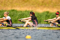 NSD04375