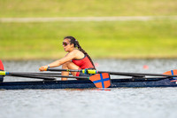 YNT03443