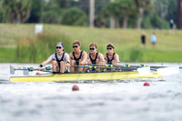 NSD08541